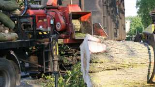 de takken worden versnipperd tot hout chips, dit dient voor groene stroom, hovenier, betaalbaar tuinontwerp tilburg, udenhout brabant,  breda 